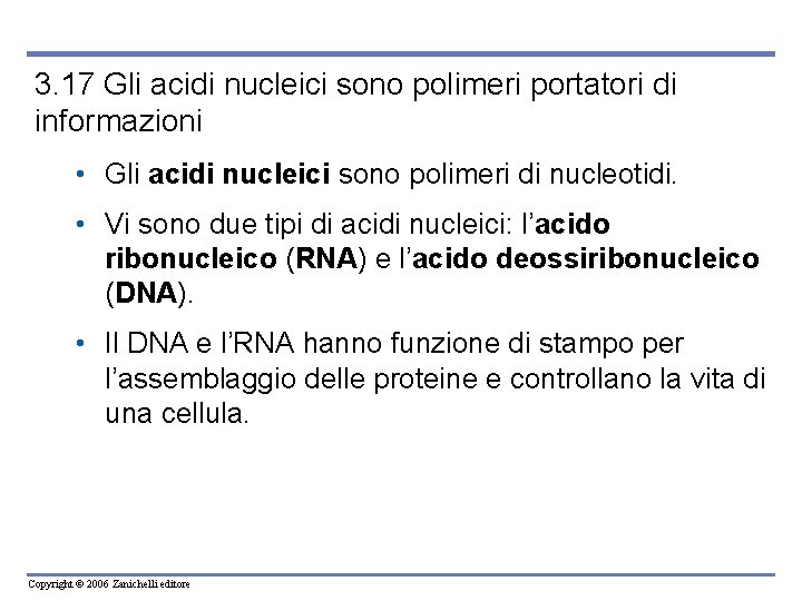 3. 17 Gli acidi nucleici sono polimeri portatori di informazioni • Gli acidi nucleici