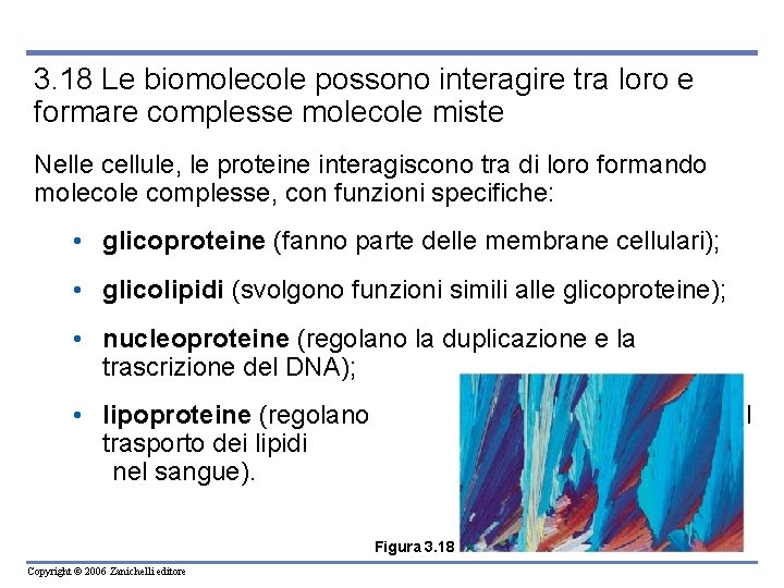 3. 18 Le biomolecole possono interagire tra loro e formare complesse molecole miste Nelle