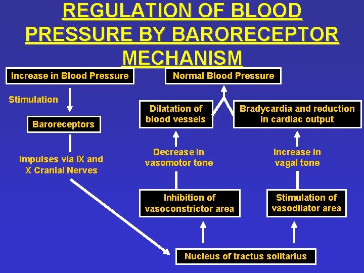 REGULATION OF BLOOD PRESSURE BY BARORECEPTOR MECHANISM Increase in Blood Pressure Stimulation Baroreceptors Impulses