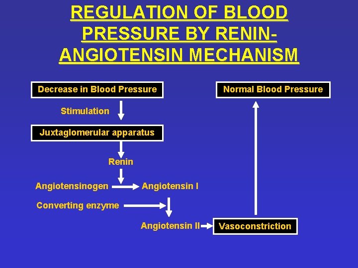 REGULATION OF BLOOD PRESSURE BY RENINANGIOTENSIN MECHANISM Decrease in Blood Pressure Normal Blood Pressure