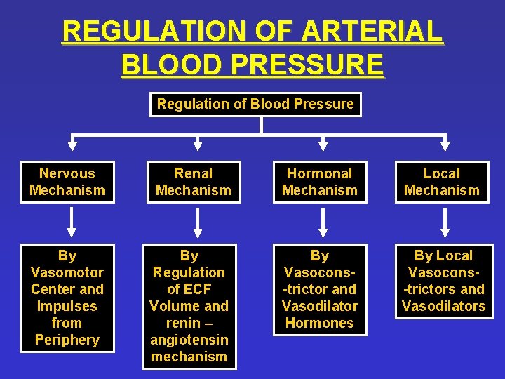 REGULATION OF ARTERIAL BLOOD PRESSURE Regulation of Blood Pressure Nervous Mechanism Renal Mechanism Hormonal