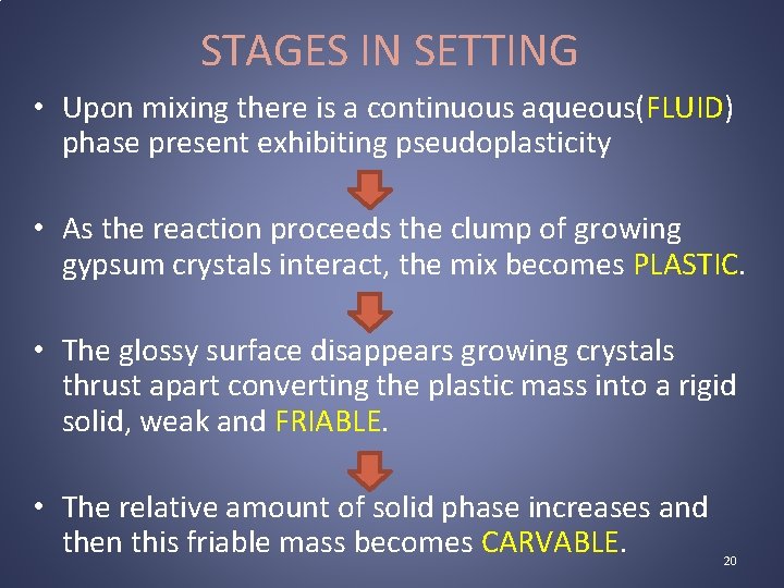 STAGES IN SETTING • Upon mixing there is a continuous aqueous(FLUID) phase present exhibiting