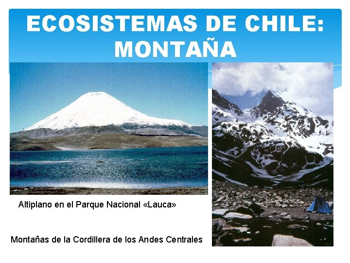 ECOSISTEMAS DE CHILE: MONTAÑA Altiplano en el Parque Nacional «Lauca» Montañas de la Cordillera