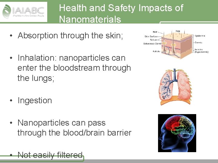 Health and Safety Impacts of Nanomaterials • Absorption through the skin; • Inhalation: nanoparticles