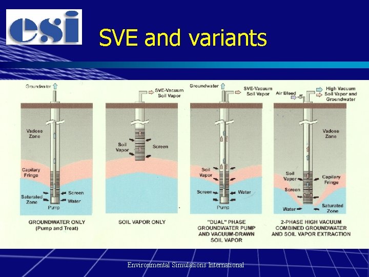 SVE and variants Environmental Simulations International 