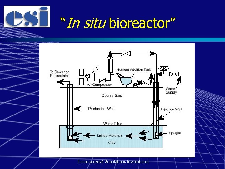 “In situ bioreactor” Environmental Simulations International 