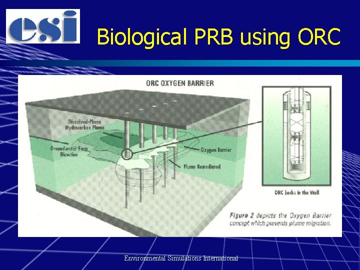 Biological PRB using ORC Environmental Simulations International 