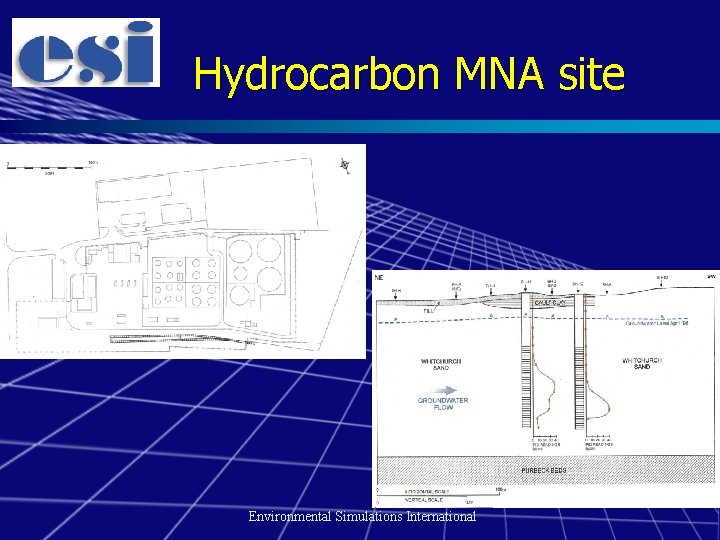 Hydrocarbon MNA site Environmental Simulations International 