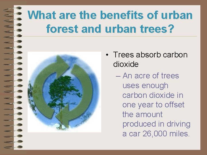 What are the benefits of urban forest and urban trees? • Trees absorb carbon