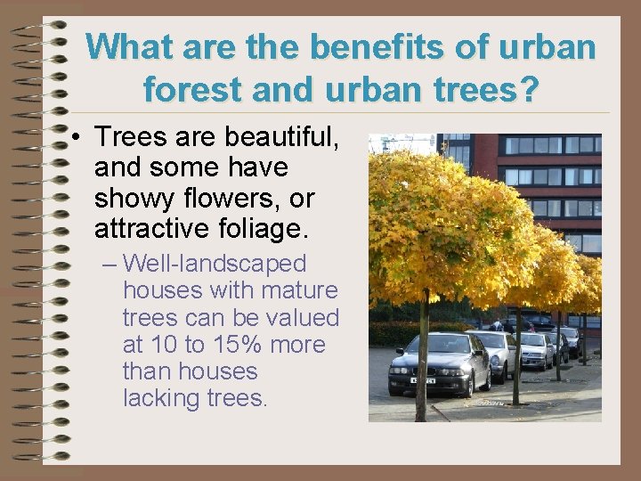 What are the benefits of urban forest and urban trees? • Trees are beautiful,