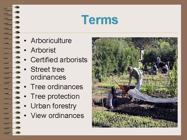 Terms • • Arboriculture Arborist Certified arborists Street tree ordinances Tree protection Urban forestry