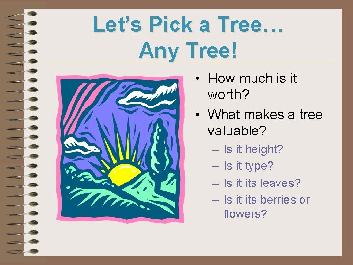 Let’s Pick a Tree… Any Tree! • How much is it worth? • What