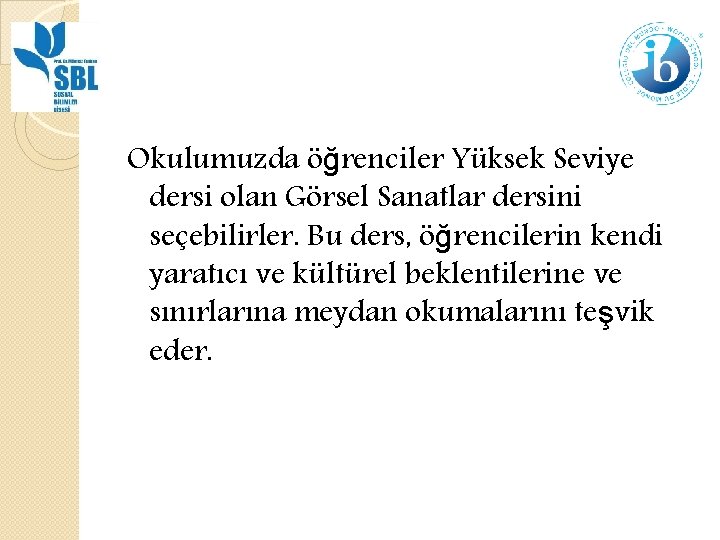 Okulumuzda öğrenciler Yüksek Seviye dersi olan Görsel Sanatlar dersini seçebilirler. Bu ders, öğrencilerin kendi