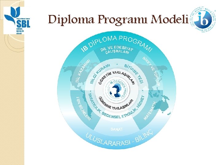 Diploma Programı Modeli 