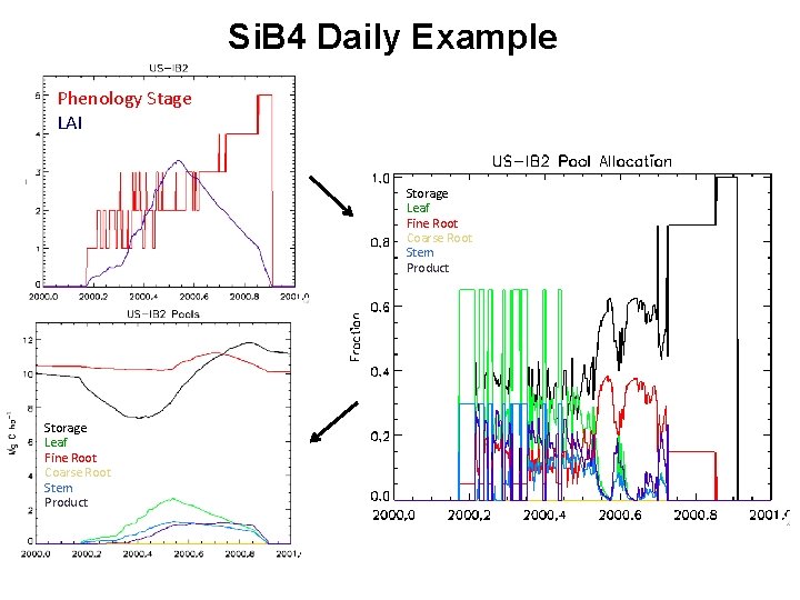 Si. B 4 Daily Example Phenology Stage LAI Storage Leaf Fine Root Coarse Root