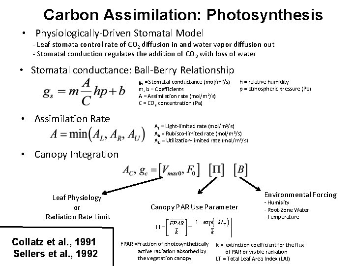 Carbon Assimilation: Photosynthesis • Physiologically-Driven Stomatal Model - Leaf stomata control rate of CO