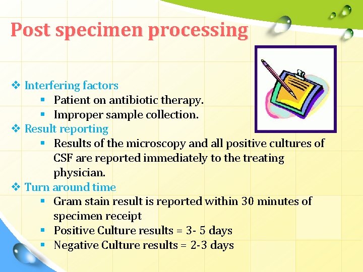Post specimen processing v Interfering factors § Patient on antibiotic therapy. § Improper sample Post specimen processing v Interfering factors § Patient on antibiotic therapy. § Improper sample