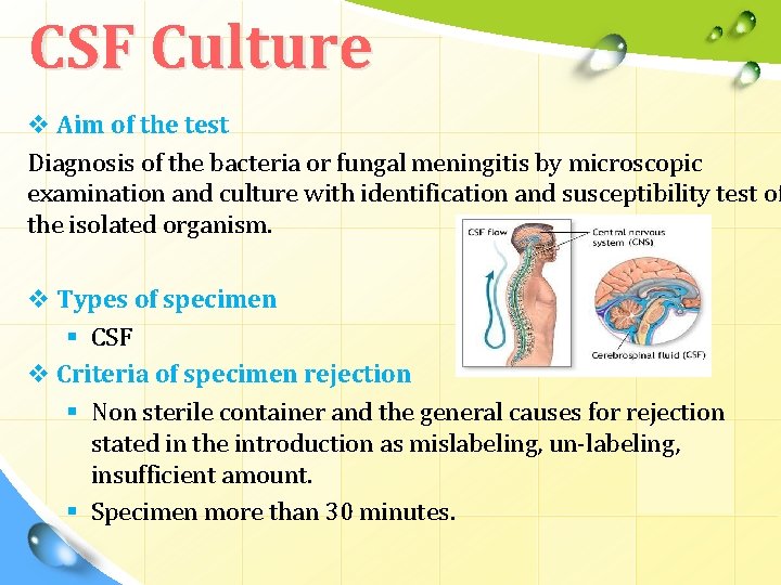 CSF Culture v Aim of the test Diagnosis of the bacteria or fungal meningitis CSF Culture v Aim of the test Diagnosis of the bacteria or fungal meningitis