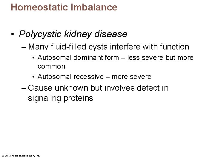 Homeostatic Imbalance • Polycystic kidney disease – Many fluid-filled cysts interfere with function •