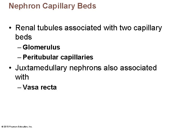 Nephron Capillary Beds • Renal tubules associated with two capillary beds – Glomerulus –