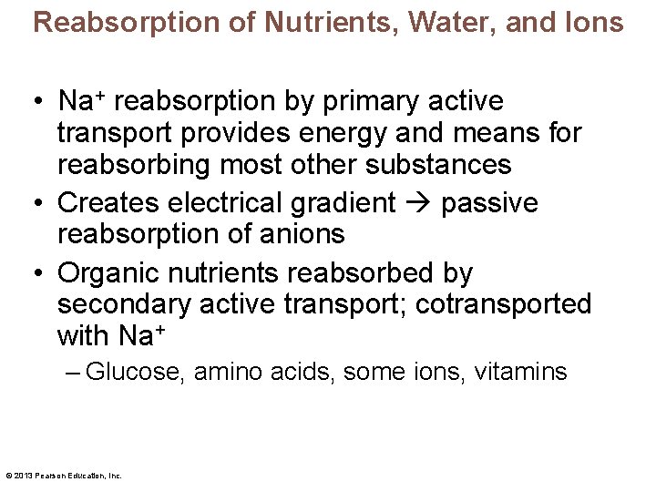 Reabsorption of Nutrients, Water, and Ions • Na+ reabsorption by primary active transport provides