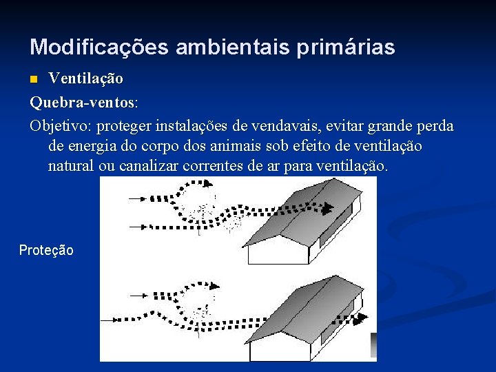 Modificações ambientais primárias Ventilação Quebra-ventos: Objetivo: proteger instalações de vendavais, evitar grande perda de