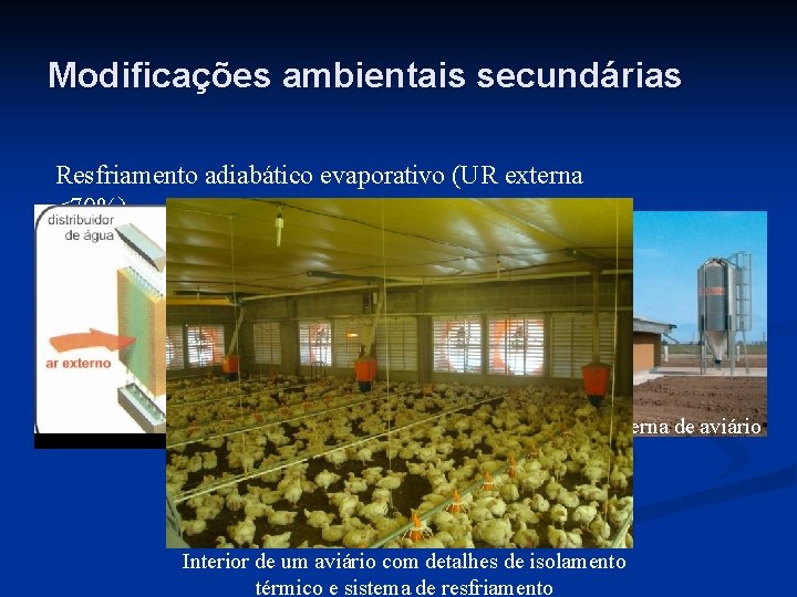 Modificações ambientais secundárias Resfriamento adiabático evaporativo (UR externa <70%) Vista externa de aviário Interior