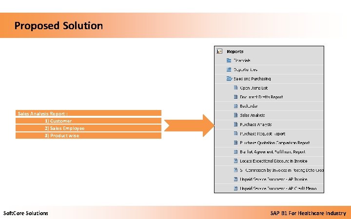  Proposed Solution Sales Analysis Report : 1) Customer 2) Sales Employee 3) Product