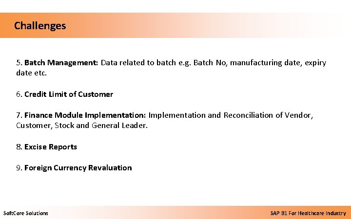  Challenges 5. Batch Management: Data related to batch e. g. Batch No, manufacturing