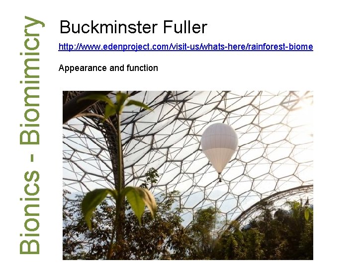 Bionics - Biomimicry Buckminster Fuller http: //www. edenproject. com/visit-us/whats-here/rainforest-biome Appearance and function 