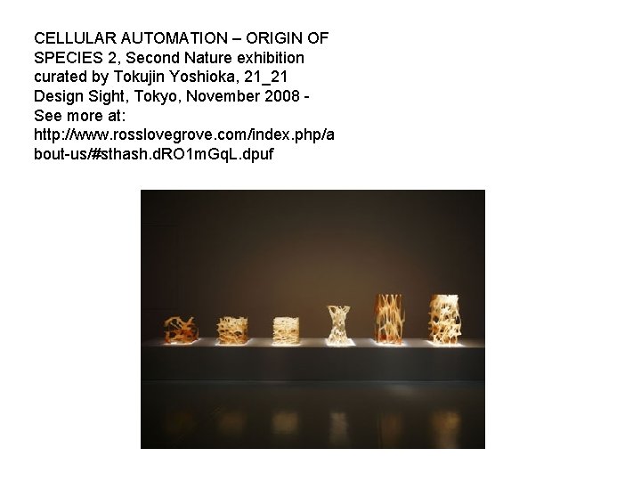 CELLULAR AUTOMATION – ORIGIN OF SPECIES 2, Second Nature exhibition curated by Tokujin Yoshioka,