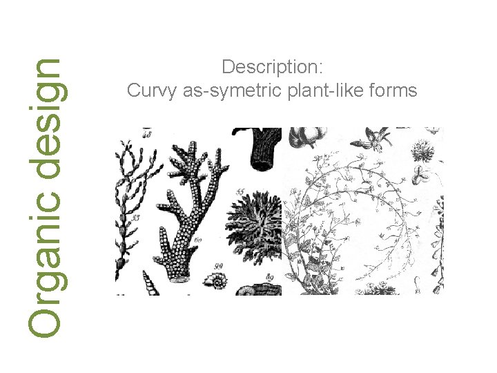 Organic design Description: Curvy as-symetric plant-like forms 
