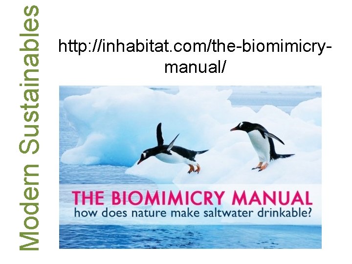 Modern Sustainables http: //inhabitat. com/the-biomimicrymanual/ 