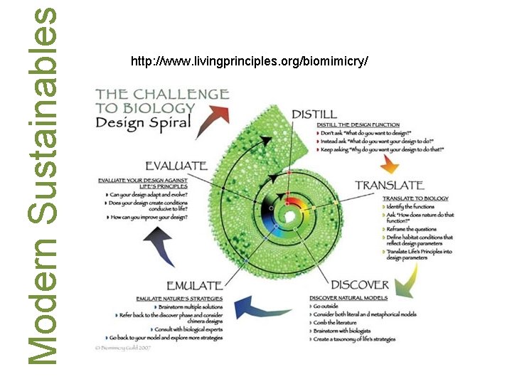 Modern Sustainables http: //www. livingprinciples. org/biomimicry/ 
