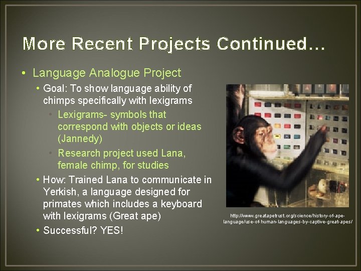 More Recent Projects Continued… • Language Analogue Project • Goal: To show language ability