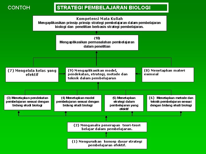  CONTOH STRATEGI PEMBELAJARAN BIOLOGI Kompetensi Mata Kuliah Mengaplikasikan prinsip-prinsip strategi pembelajaran dalam pembelajaran