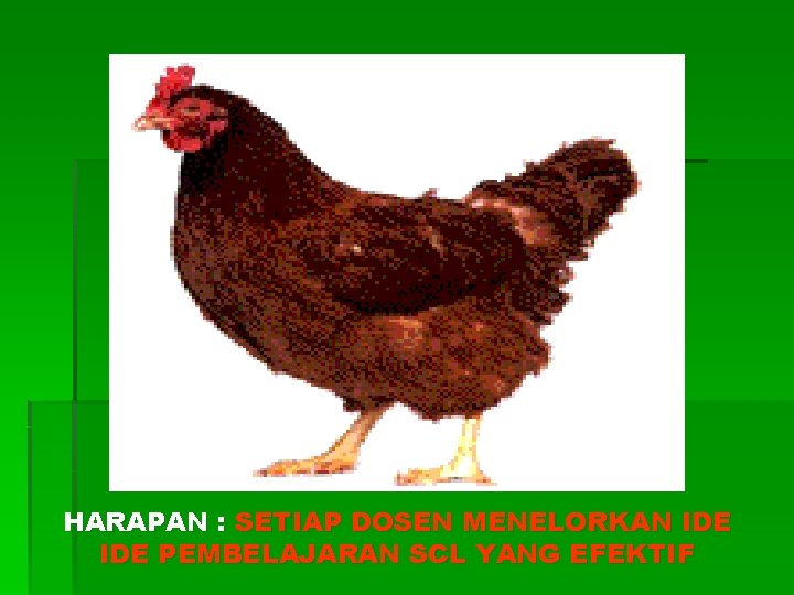 HARAPAN : SETIAP DOSEN MENELORKAN IDE PEMBELAJARAN SCL YANG EFEKTIF 