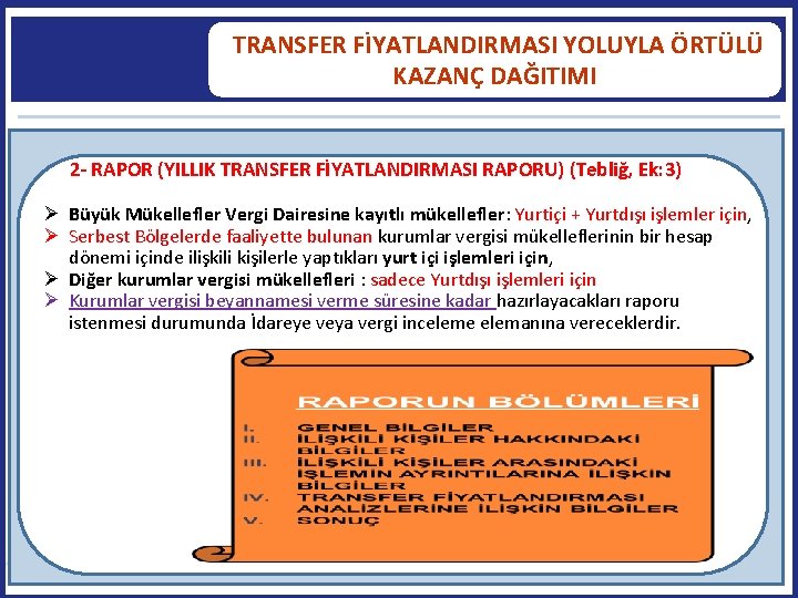  TRANSFER FİYATLANDIRMASI YOLUYLA ÖRTÜLÜ KAZANÇ DAĞITIMI 2 - RAPOR (YILLIK TRANSFER FİYATLANDIRMASI RAPORU)