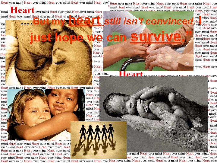 …. But my heart still isn't convinced. I just hope we can survive. ”