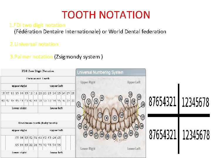 TOOTH NOTATION 1. FDI two digit notation (Fédération Dentaire Internationale) or World Dental federation TOOTH NOTATION 1. FDI two digit notation (Fédération Dentaire Internationale) or World Dental federation