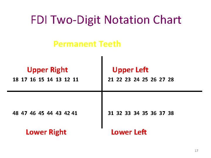 FDI Two-Digit Notation Chart Permanent Teeth Upper Right Upper Left 18 17 16 15