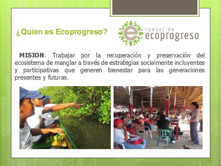 ¿Quien es Ecoprogreso? MISION: Trabajar por la recuperación y preservación del ecosistema de manglar