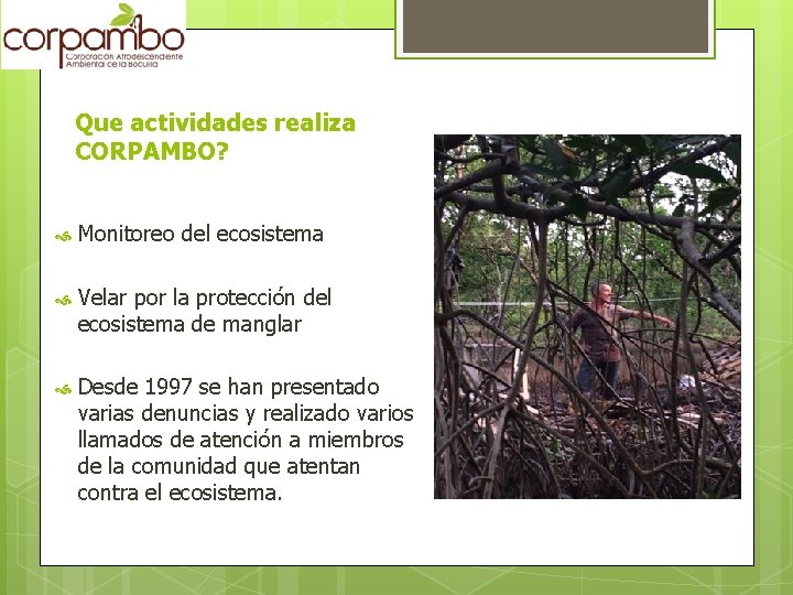 Que actividades realiza CORPAMBO? Monitoreo del ecosistema Velar por la protección del ecosistema de