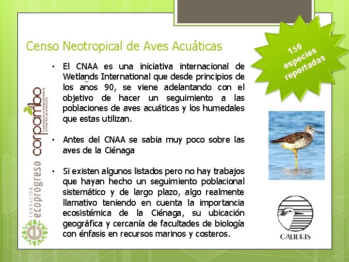 Censo Neotropical de Aves Acuáticas • El CNAA es una iniciativa internacional de Wetlands