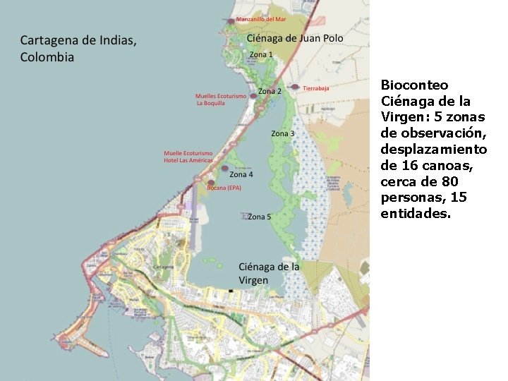 Bioconteo Ciénaga de la Virgen: 5 zonas de observación, desplazamiento de 16 canoas, cerca