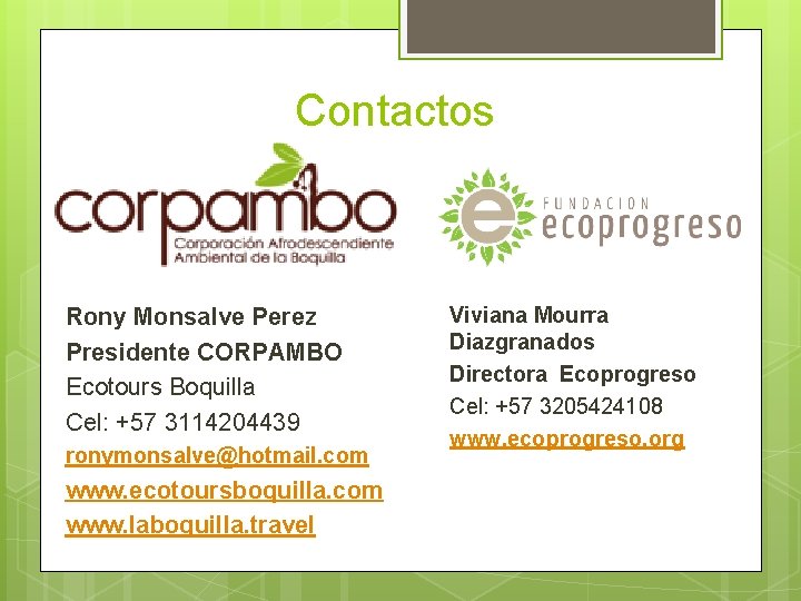 Contactos Rony Monsalve Perez Presidente CORPAMBO Ecotours Boquilla Cel: +57 3114204439 ronymonsalve@hotmail. com www.