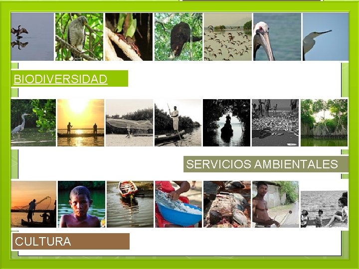 BIODIVERSIDAD SERVICIOS AMBIENTALES CULTURA 