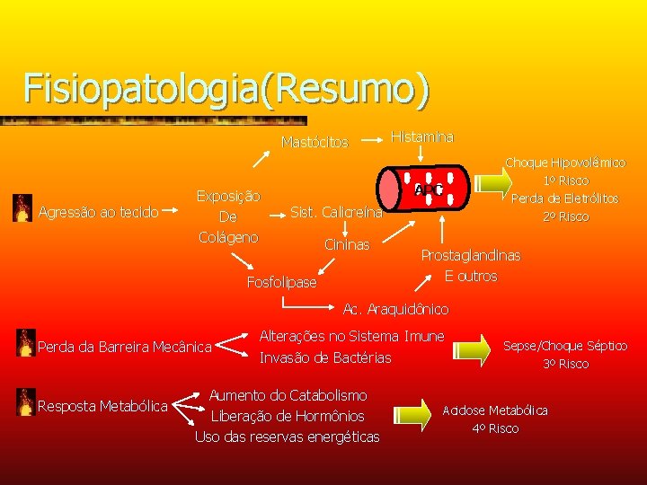 Fisiopatologia(Resumo) Mastócitos Agressão ao tecido Exposição De Colágeno Histamina APC Sist. Calicreína Cininas Fosfolipase