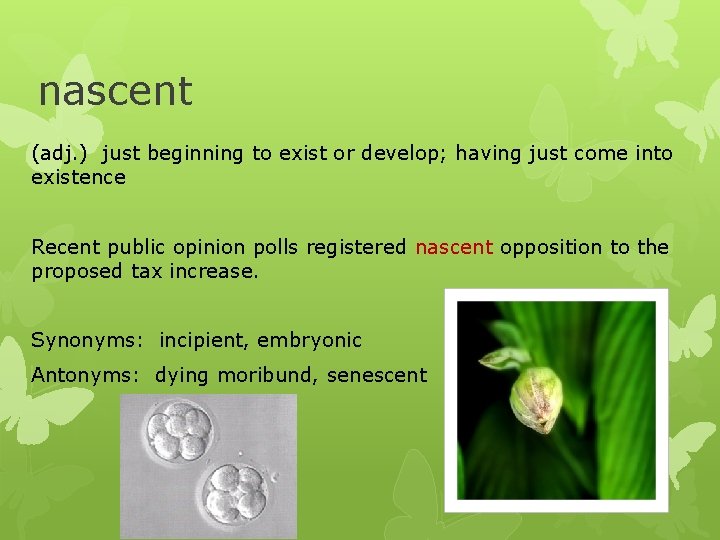 nascent (adj. ) just beginning to exist or develop; having just come into existence