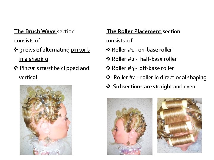  The Brush Wave section The Roller Placement section consists of 3 rows of